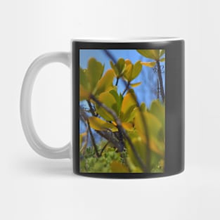 Red mangrove Mug